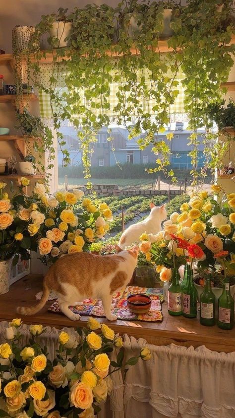 JOJADOJA. Nothing But Flowers, Cat Flowers, Cottage Core Aesthetic, Pretty Landscapes, Spring Aesthetic, Cat Wallpaper, Nature Aesthetic, Flower Field, Green Aesthetic