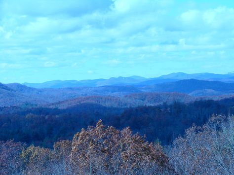 Brevard, NC Brevard North Carolina, Brevard Nc, Sweet Carolina, Carolina Mountains, Outdoor Paradise, Time In Nature, North Carolina Mountains, Wild Turkey, Nature Walk