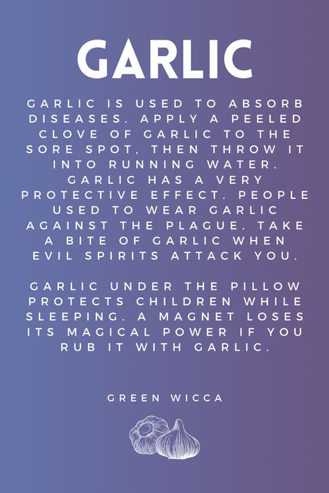 Garlic: A Magical Bulb of Protection, Healing, and Warding Off Thieves! 🧄✨ From ancient folklore to modern uses, this versatile herb is believed to offer powerful protective, healing, and banishing properties. Discover the mystique of garlic and its many virtues. #health #protect #children #protective Garlic Magical Properties, Magical Properties Of Garlic, Elixir Recipe, Magick Herbs, Nature Medicine, Apple Plant, Cinnamon Benefits, Health Benefits Of Ginger, Garlic Benefits