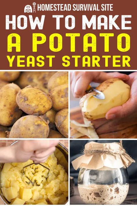 Potato Yeast Starter, Diy Yeast, Fluffy Homemade Bread, Potato Yeast, Wild Yeast Starter, Stocking Shelves, Poblano Soup, Bakers Yeast, Yeast Packet