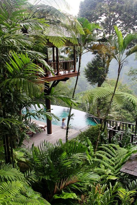 Como Shambhala Estate, Como Shambhala, Jungle Resort, Jungle House, Bali House, Tropical Architecture, Tropical Resort, Tropical House, Beach Bungalows