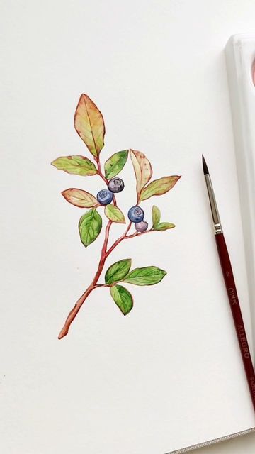 Wild Berries, Huckleberry Drawing, Berries Sketch, Berry Watercolor, Huckleberry Tattoo, Huckleberry Illustration, Huckleberry Painting, Berries Illustration Drawing, Berries Botanical Illustration