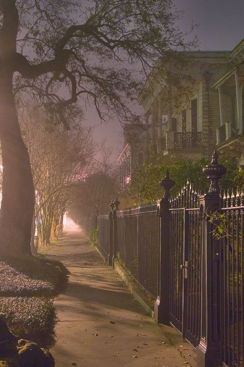 New Orleans Witch, New Orleans Aesthetic, Southern Gothic Aesthetic, Carriage Ride, Louisiana Usa, The Vampire Chronicles, Anne Rice, Garden District, Willow Creek