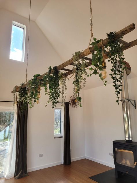 Hanging Lamp With Plants, Indoor Plant Ceiling, Hanging Ladder From Ceiling With Plants, Things Hanging From Ceiling, Ceiling Plants Hanging, Hanging Ladder From Ceiling, Tall Ceiling Decor, Plants Hanging From Ceiling, Ladder With Plants