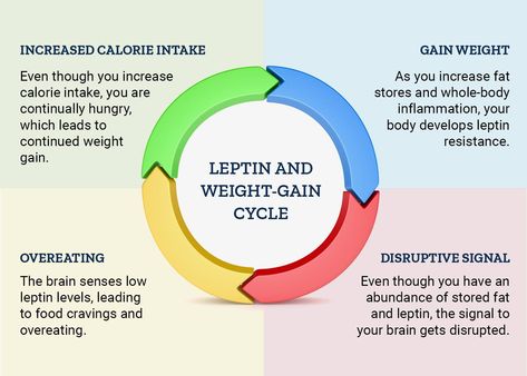 How to Prevent Leptin Resistance - Life Extension Leptin Resistance Diet, Insulin Resistance Symptoms, Leptin Resistance, High Carb Foods, Healthy Body Weight, Blood Glucose, Glucose Levels, Insulin Resistance, Calorie Intake