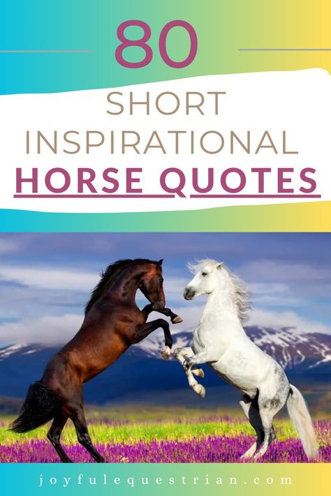 Looking for a dose of equestrian inspiration? Dive into these short and powerful horse quotes to uplift your spirit and celebrate your love for these majestic creatures. Perfect for horse lovers, riders, and even non-equestrians. 🐎💬 #EquestrianQuotes #HorseLove #ShortQuotes #InspirationalQuotes #JoyfulEquestrian #HorseLovers #EquineInspiration #HorseRiding Horse Poems, Equine Quotes, Rainbows And Unicorns, Inspirational Horse Quotes, Horse Riding Quotes, Equestrian Quotes, Riding Quotes, Horse Riding Tips, Horse Inspiration