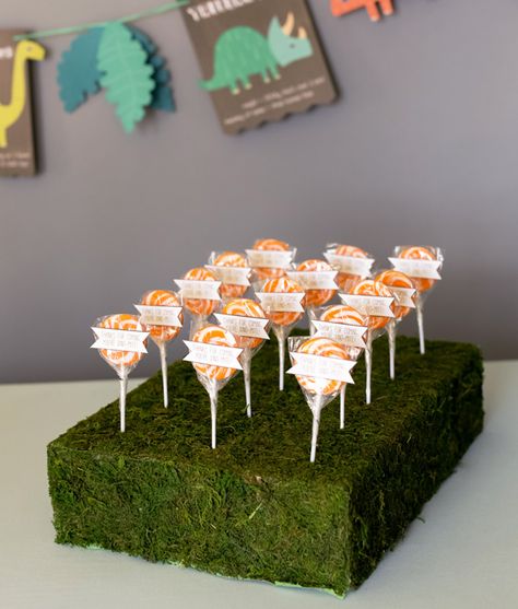 Could get square foam at dollar store, wrap with cute paper and put lollies on top ;) Lollipop Display Diy, Lollipop Stand Diy, Lollipop Display Ideas, Lollipop Stand, Lollipop Display, Butterfly Garden Party, Lollipop Favors, Diy Moss, Display Cake