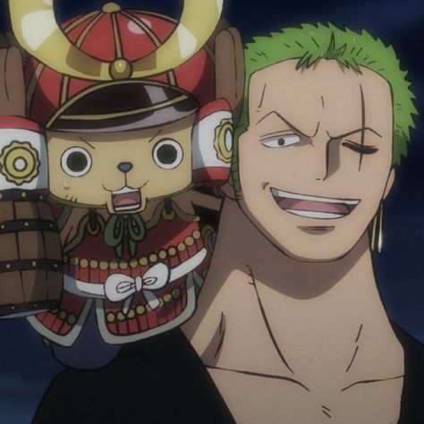 Zoro And Chopper, One Piece Widget, Chopper Zoro, Zoro Chopper, Zoro And Robin, One Piece Chopper, One Piece Photos, One Piece Cartoon, Zoro Roronoa