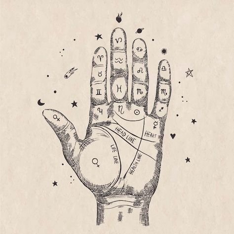 Witchy Illustration, Palmistry Reading, Palmistry Hand, Esoteric Symbols, Spiritual Reading, Alchemy Symbols, Esoteric Art, Palm Reading, Art Png