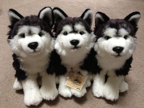 Webkinz Signature, Webkinz Stuffed Animals, Nostalgia Aesthetic, Wolf Stuff, Cute Plushies, Kawaii Plushies, Stuff And Thangs, Cute Stuffed Animals, Cute Plush