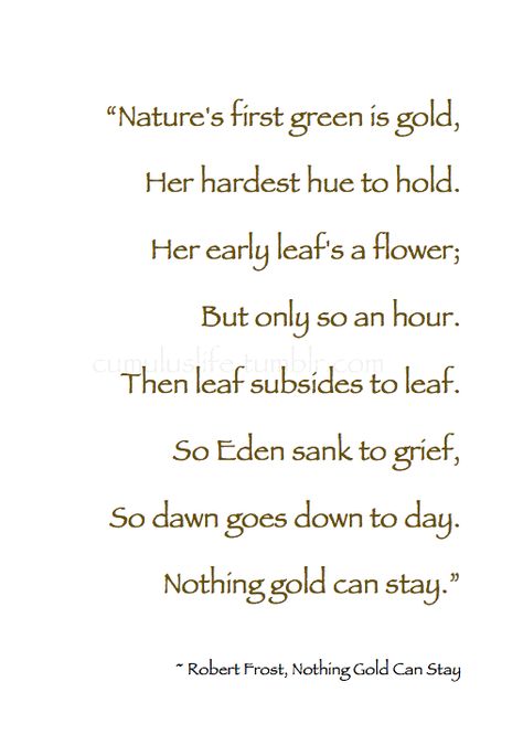 ~ Autumn ~ “Nature's first green is gold , Her hardest hue to hold . . . So dawn goes down to day. Nothing gold can stay.” ~ Robert Frost, Nothing Gold Can Stay #October_Poetry Stay Gold Poem, Stay Quotes, Autumn Poetry, Flower Poetry, Robert Frost Quotes, Autumn Quote, Poems About School, Robert Frost Poems, Gold Quotes