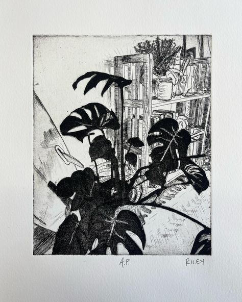 etching with & without aquatint, 7.5in x 6in print on copper plate Etching Prints, Copper Plate, Monstera Plant, Copper Plated, Life Drawing, Flower Drawing, Printmaking, Etching, Copper