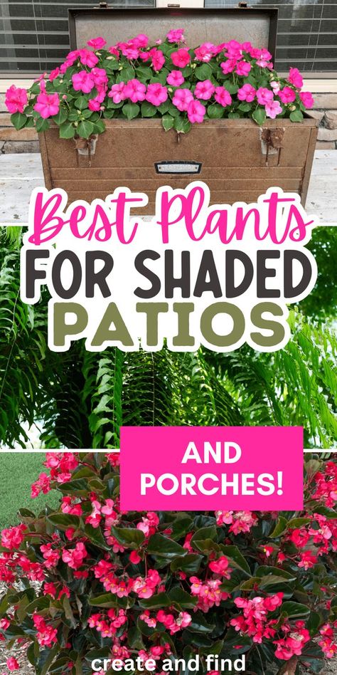 Collage of spring plants and flowers for shaded porches and covered patios. Front Porch Flower Pots Entrance Shade, Front Porch Container Garden, Hanging Plant Pots Outdoor, Best Plants For Covered Porch, Plants For Shade Outdoors Pots, Shade Plants In Pots, Outdoor Patio Flower Ideas, Full Shade Container Ideas, Shade Spiller Plants