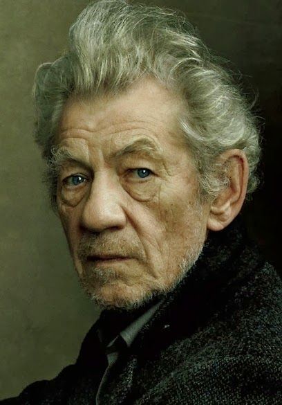 Male Portrait Pose Reference, Face Oil Painting, Sir Ian Mckellen, Old Man Face, Old Man Portrait, Person Photography, Ian Mckellen, Portraiture Painting, Person Drawing