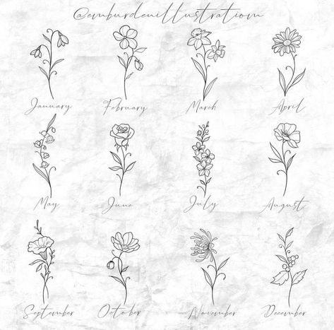 Aster Tattoo, Vegas Fits, Simple Tattoos For Women, Minimalist Tattoo Ideas, Animal Tattoo Ideas, Warrior Tattoos, Character Template, Bff Tattoos, Birth Flower Tattoos