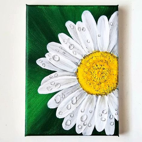 Daisies Painting Acrylic, Daisy Canvas Painting, Painting Daisy Flower, Daisy Painting Acrylic Easy, Canvas Painting Ideas Daisy, Painted Daisy Flower, Daisy Paintings, Daisy Texture Art, Daisy Flower Painting