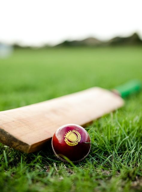 Cricket bat and ball on green grass | premium image by rawpixel.com / Felix Cricket Dp, Cricket Bat And Ball, Cricket Images, Sports Aesthetics, History Of Cricket, Minion Card, About Cricket, Cricket Game, Cricket Logo