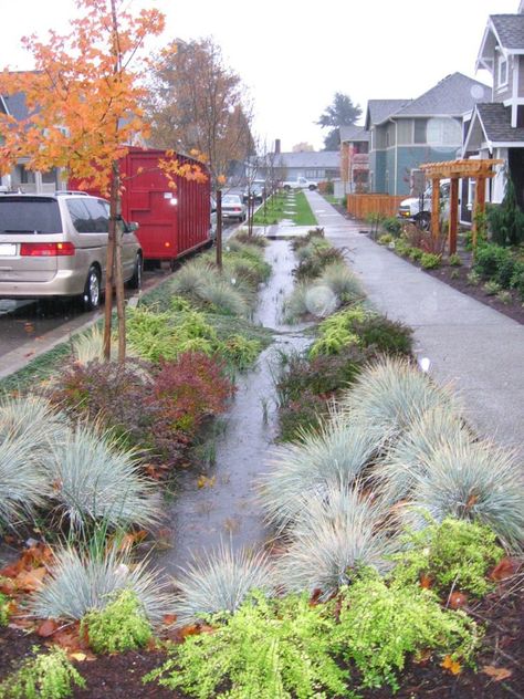 Bioswales as seen in the NACTO Urban Street Design Guide. Click image for full information & guide, and visit the Slow Ottawa 'Stormwater Solutions' board for more sustainable water management. Rain Garden Design, Stormwater Management, Rain Water Collection, Rain Garden, Water Management, Street Design, Shade Garden, Urban Landscape, Permaculture