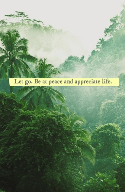 #quotes #inspirational #positive #smart #life Be At Peace, Peace And Calm, Appreciate Life, Life Poster, At Peace, Quotes About Strength, Quotes Words, Peace Love, Let Go