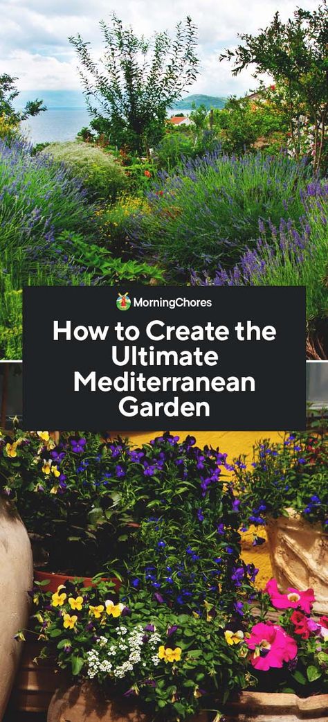 How to Create the Ultimate Mediterranean Garden Mediterranean Hillside Garden, Low Maintenance Mediterranean Garden, Small Mediterranean Patio Ideas, Uk Mediterranean Garden, Italian Garden Plants, Mediterranean Front Courtyard, Rustic Mediterranean Garden, Spanish Mediterranean Backyard, Medeteranian Landscape