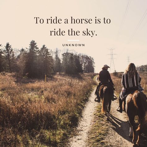 To Ride a Horse is to Ride the Sky | Free eBook & Newsletter! Riding Horse Quotes, Horse Love Quotes, Horseback Riding Quotes, Cute Horse Quotes, Horse Ownership, Inspirational Horse Quotes, Horse Riding Quotes, Ride A Horse, Equestrian Quotes