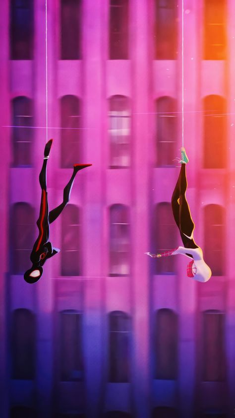 Gwen Stacy, Miles Morales, Spiderman, Wallpapers, Purple, Pink