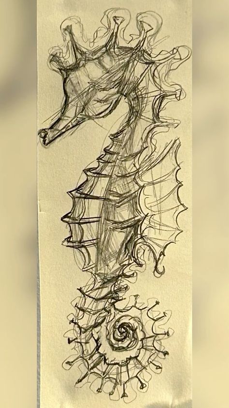 Seahorses Drawings, Sea Horse Drawings, Sea Life Sketches, Unique Sketch Ideas, Seahorse Drawings, Draw On Wall, Seahorse Sketch, Sea Creature Drawings, Sea Horse Drawing