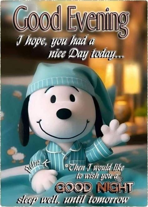 Nighty Night Quotes, Snoopy Good Night, Good Evening Blessings, Night Blessings Quotes, Cute Good Night Quotes, Good Night Blessings Quotes, Good Night Sleep Well, Evening Blessings, Good Evening Messages