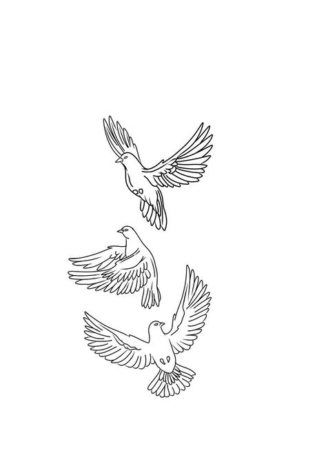 Bird Tattoos Arm, Pumpkin Tattoo, Tattoos Arm, Dove Tattoo, Bird Tattoos, Tattoo Outline Drawing, Drawing Stencils, Sketch Tattoo Design, Chest Tattoo Men