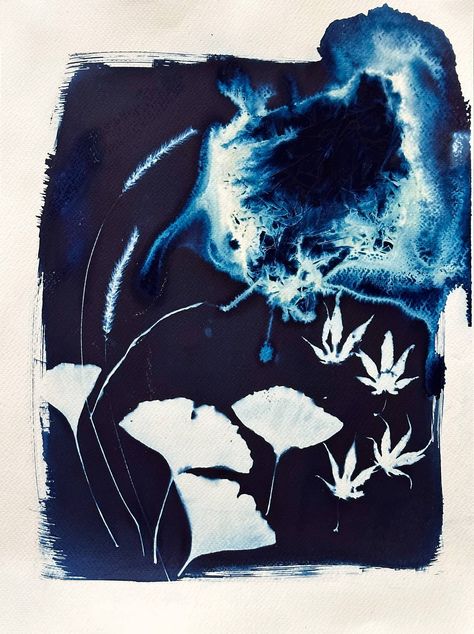 Alternative Printmaking, Wet Cyanotype, Best Watercolor Paper, Acid Paper, Cyanotype Art, Printmaking Projects, Cyanotype Process, Art Lessons Middle School, Angel Feathers