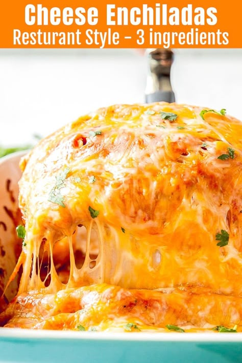 Food Recipes Enchiladas, Spaghetti Torte, Cheese Enchiladas Recipe, Easy Cheese Enchiladas, Enchiladas Mexicanas, Enchiladas Potosinas, Mexican Food Recipes Enchiladas, Recipes Enchiladas, Mexican Enchiladas