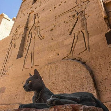 Sadie Kane, Egyptian Aesthetic, Starověký Egypt, Egypt Aesthetic, Egyptian Temple, Egypt Art, Kane Chronicles, Egyptian Gods, Egyptian Art