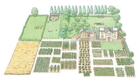 Lovely little illustration of a small self-sufficient farm. Homestead Layout, Self Sufficient Homestead, Acre Homestead, Modern Homesteading, Self Sustaining, Farm Layout, Permaculture Design, Mother Earth News, Mini Farm