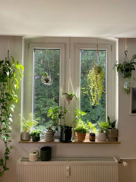 Cute Apartment Plants, House Plants Apartment, Window Full Of Plants, Plants Window Aesthetic, Plants On Window Sill Bedroom, Herb Plants Indoor, Plant Window Aesthetic, Plant Based Decor, Apartment Inspiration Plants