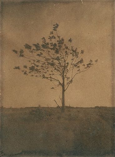 Pinhole Photography, Alternative Photography, Pinhole Camera, Old Photographs, Old Postcards, Ethereal Art, Dark Photography, Brown Aesthetic, Photography Techniques