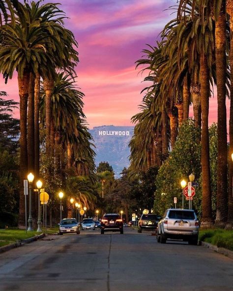 Tripscout Los Angeles on Instagram: “Streets of Hollywood.🌴 Where’s you favorite place to watch sunset?😍👇 📸:@ejimmy3 #hollywoodsign #discoverla #visitcalifornia…” Watch Sunset, Los Angeles Wallpaper, Los Angeles Aesthetic, Los Angeles Travel, California Vibe, California Sunset, Los Angeles City, Hollywood Sign, Visit California