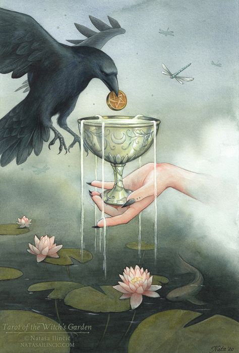 — Ace of Cups, Tarot of the Witch’s Garden.... Ace Of Cups Tarot, Ace Of Cups, Witch's Garden, Cup Tattoo, Cups Tarot, Tarot Magic, Witch Garden, Consciousness Art, Card Tattoo