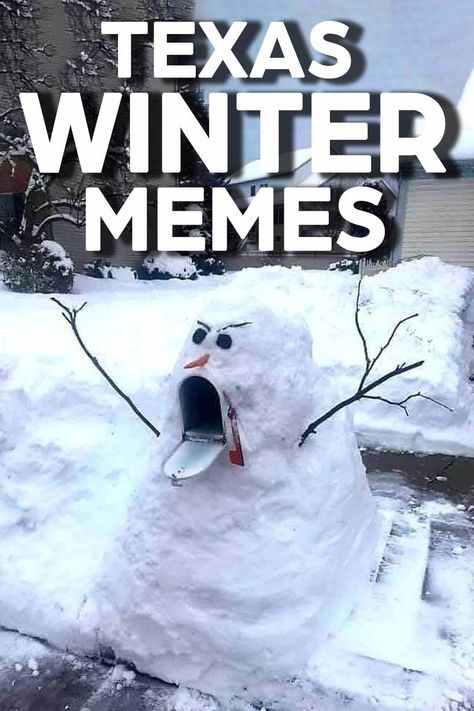 Best Texas Winter Memes [2024] – DFW Craft Shows Texas Snow Humor, Winter Meme Funny, Frozen Activities, Texas Animals, Texas Winter, Weather Memes, Cotton Eyed Joe, Winter Is Coming Meme, Funny Snow Day Memes