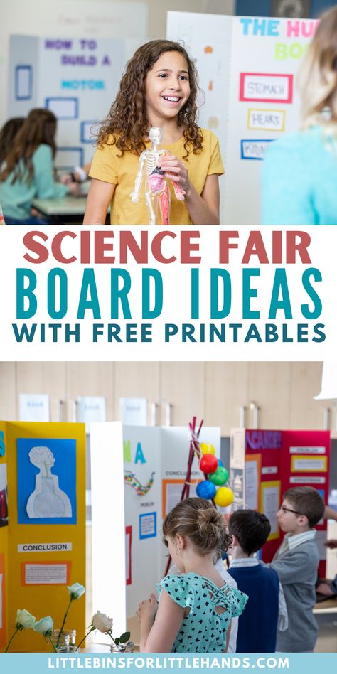 Check out our science fair boards ideas. Download and print our free printable pack for all of our science fair board ideas! Learn how to set up the best board for the kids science experiment. Eighth Grade Science Fair Projects, Friction Science Fair Projects, Science Fair Presentation Board, Density Science Fair Project Board, Science Fair Project For 1st Grade, Science Fair Questions Ideas, Fishing Science Fair Projects, Rock Candy Science Fair Project Board, Geology Science Fair Projects