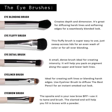 Eyeshadow Brushes Guide Cheat Sheets, Eyeshadow Brushes Guide, Pictorial Makeup, Makeup Tutorial Foundation Flawless Face, Brush Photography, Kate Talbert, Messy Makeup, Makeup Asthetic, Makeup Utensils