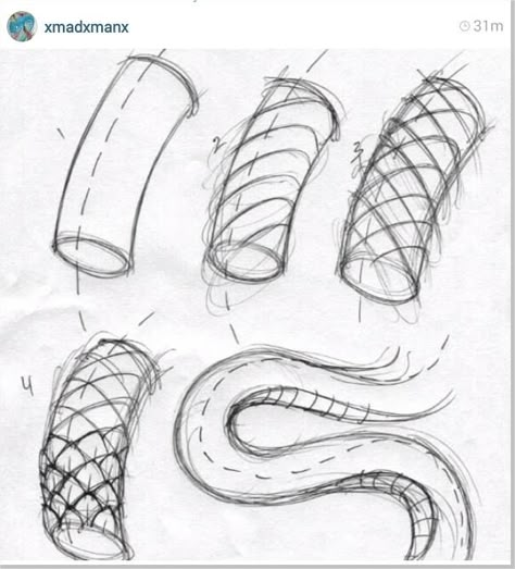 Snake Body Reference, Snake Pose Reference, Snake Tutorial, Snake Tail Drawing, Snake Poses Reference, Coiled Snake Drawing Reference, Snake Side Profile, Drawing A Snake, Serpent Drawing