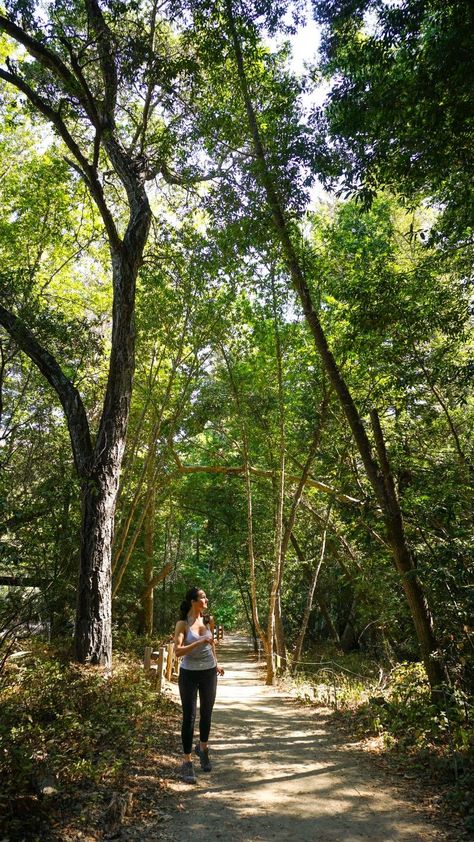 Grounding Practices, Men Gym Outfit, Wellness Vibes, 2025 Mindset, Forest Therapy, Mental Health Inspiration, Nature Therapy, Monterey Peninsula, Winter Arc