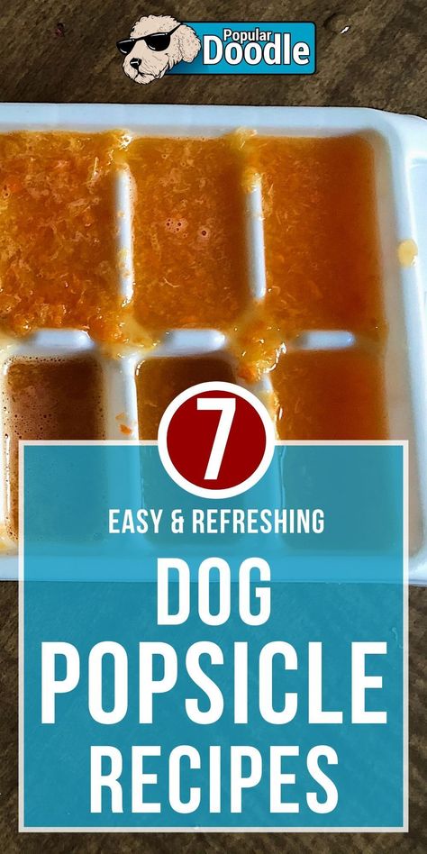 Popsicle For Dogs, Dog Popsicles Recipe Easy, Pupsicle Pops Recipes, Dog Pupcicle, Pupsicle Refill Recipe, Pupsicles Dogs, Woof Pupsicle Recipes, Pupsicles Dog Treats Recipe, Dog Popsicles Recipe