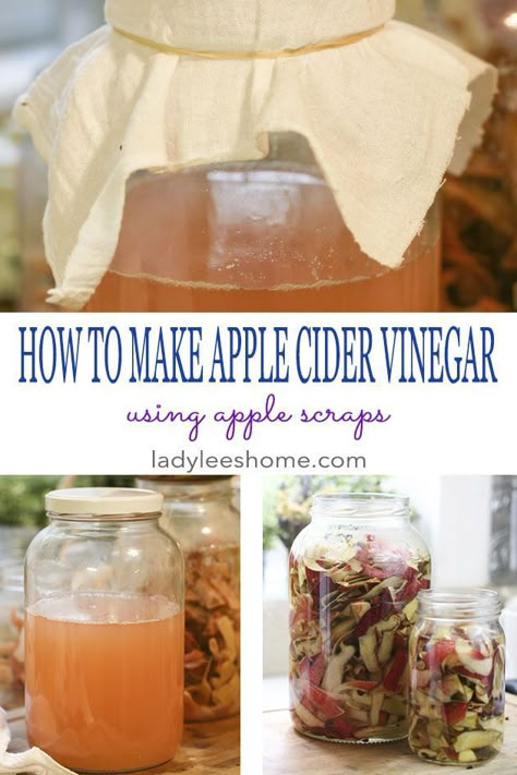 Apple Cider Vinegar Diy, Healthy Apple Cider, Diy Apple Cider Vinegar, Apple Scraps, Apple Cider Vinegar Health, Diy Apple Cider, Make Apple Cider, Make Apple Cider Vinegar, Apple Cider Vinegar Uses