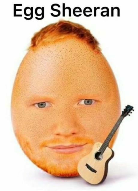 Bread Sheeran, Egg Sheeran, Ed Sheeran Memes, Photoshopped Animals, Learning Adobe Illustrator, Sigma Alpha, Funny Pix, Extremely Funny, I'm Bored