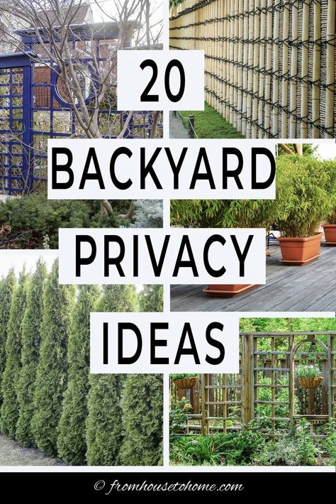 Backyard Privacy Ideas, Privacy Ideas, Dish Art, Privacy Landscaping, Too Close For Comfort, Garden Privacy, Backyard Privacy, Garden Screening, Garden Arbor