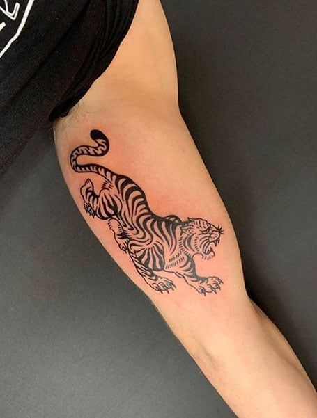 Tradition Tiger Tattoo, Traditional Style Tiger Tattoo, Blackwork Tiger Tattoo, Tiger American Traditional Tattoo, Creative Traditional Tattoo, Traditional Tiger Tattoo Black, Abstract Tiger Tattoo, Fineline Traditional Tattoo, Traditional Tattoos Tiger