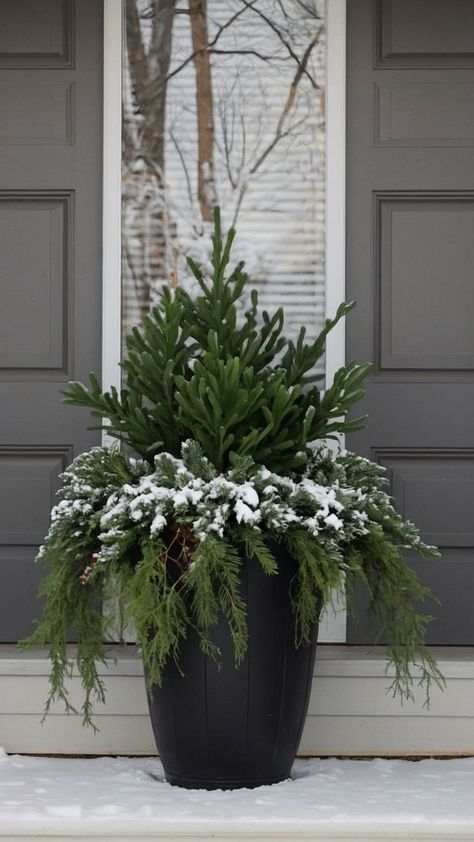 Transform your front porch with stunning winter planters Discover easy DIY ideas for simple fake tall Christmas outdoor planters using faux birch branches late lanterns and farmhouse charm Perfect for the holidays with an array of beautiful pansies Winter Outdoor Flower Pot Ideas, Fall Outdoor Pots Ideas, Extra Large Planters Outdoor Ideas, Front Porch Trees Planters, Winter Urns Outdoor Planters, Holiday Planters Front Porches, Outdoor Winter Planter Ideas, Winter Porch Pots Diy, Winter Pots Outdoor Planters