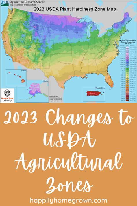 The USDA has updated the agricultural zones/plant hardiness maps for the first time in over a decade. Did your zone change? Usda Plant Hardiness Zone Map, Usda Hardiness Zone Map, Plant Zone Map, Usda Zones Maps, Zone Map For Gardening, Grow Zones Map, Flower Zones Map U.s. States, Zone Planting Map, Growing Zones Map United States