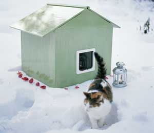 Katt Diy, Katt Grejer, Shed, Outdoor Structures, Pins